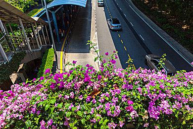 Epic喜加一：《幽灵行者》免费领取